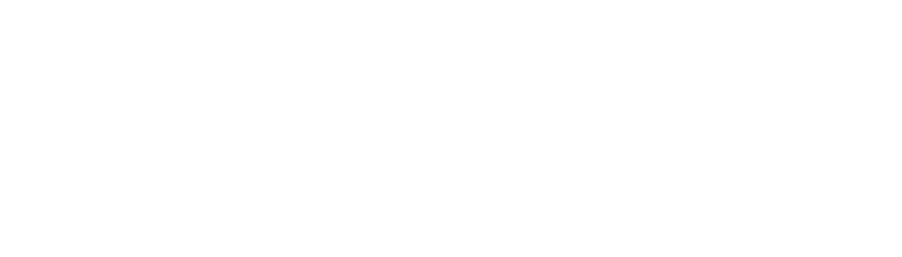 Swisspor