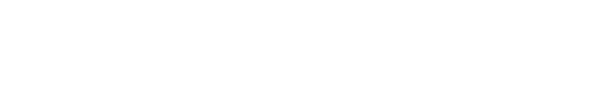 VDV